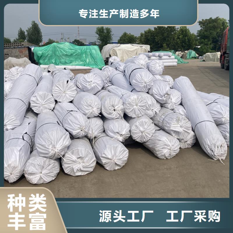 钢塑土工格栅_涤纶格栅诚信经营