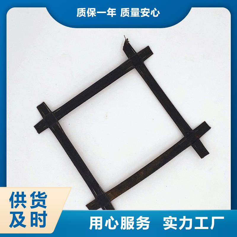 钢塑土工格栅_涤纶格栅经验丰富质量放心
