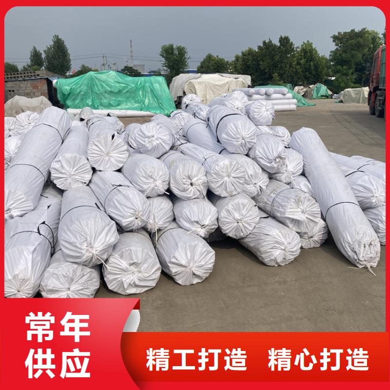 钢塑土工格栅_涤纶格栅经验丰富质量放心