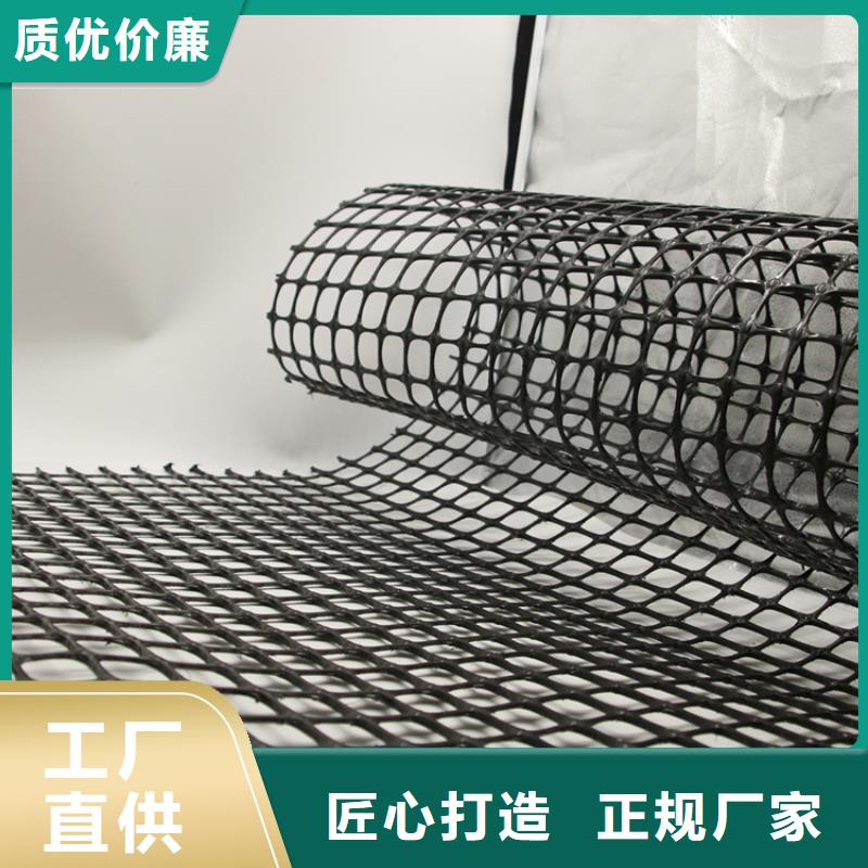塑料土工格栅盖土防扬尘自有厂家
