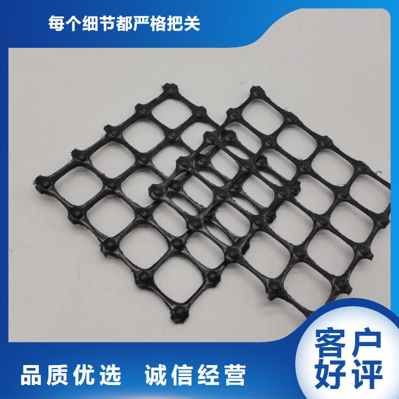 塑料土工格栅盖土防扬尘自有厂家