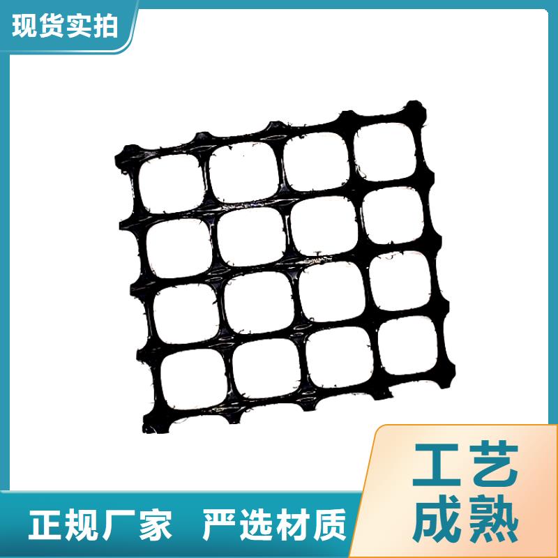 塑料土工格栅加筋布精选厂家好货