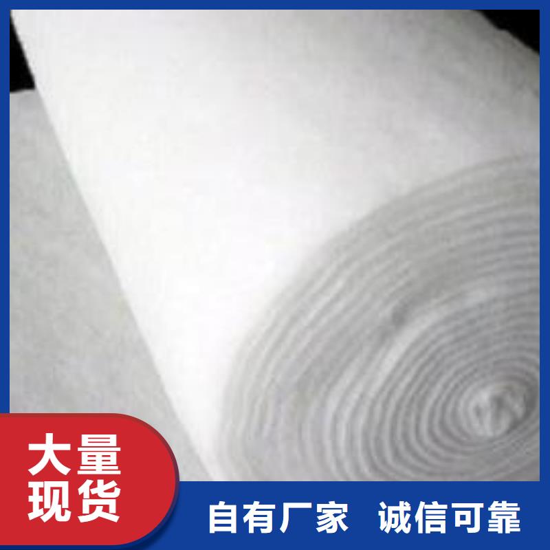 土工布_玻纤土工格栅N年大品牌