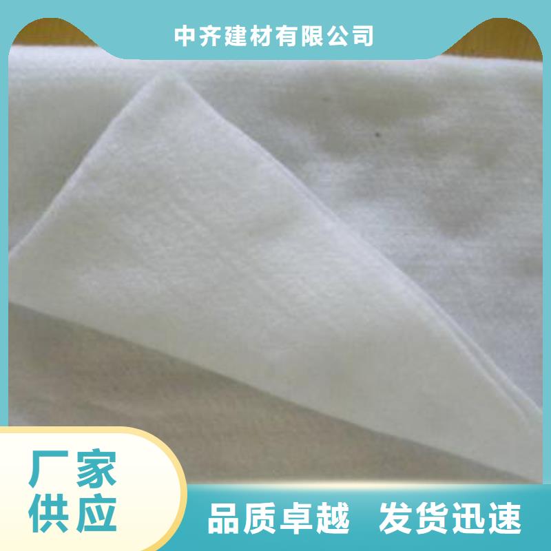 土工布单向塑料土工格栅保障产品质量