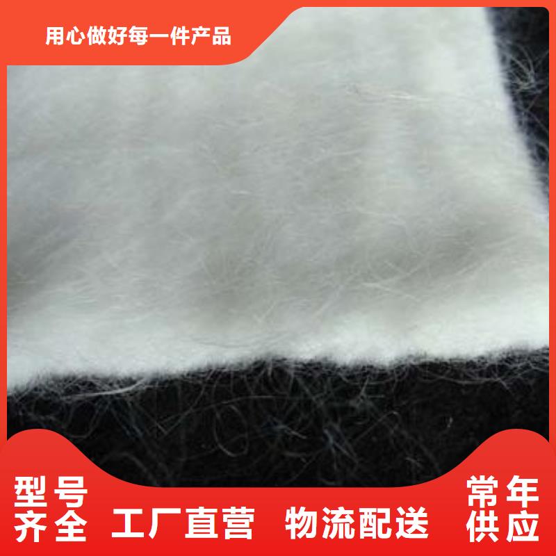 短丝土工布多少钱一平厂家直销