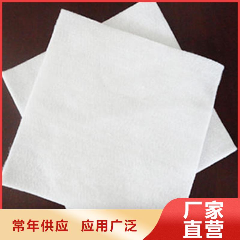 土工布_玻纤土工格栅N年大品牌
