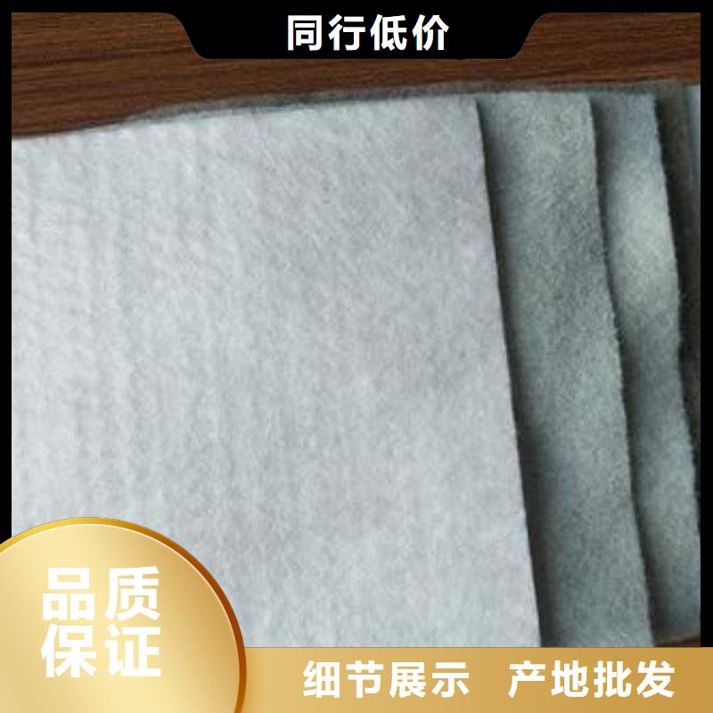 土工布单向塑料土工格栅保障产品质量