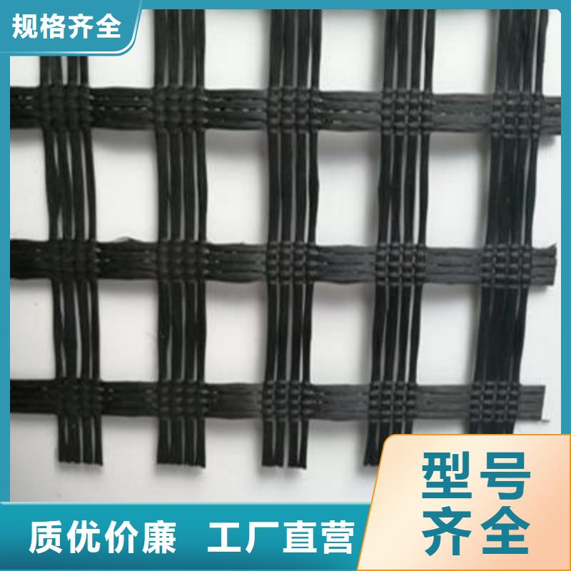 玻纤土工格栅pp焊接土工格栅供您所需