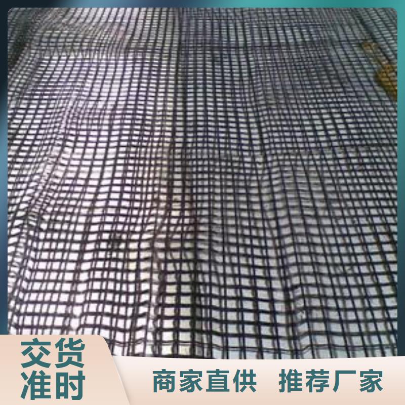 玻纤土工格栅pp焊接土工格栅供您所需