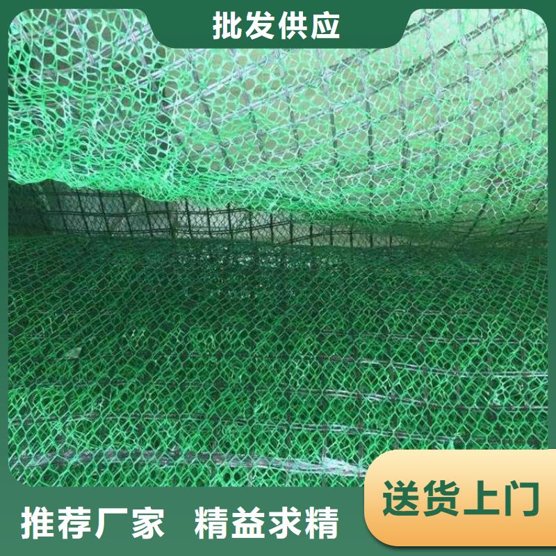 三维植被网土工布质优价廉
