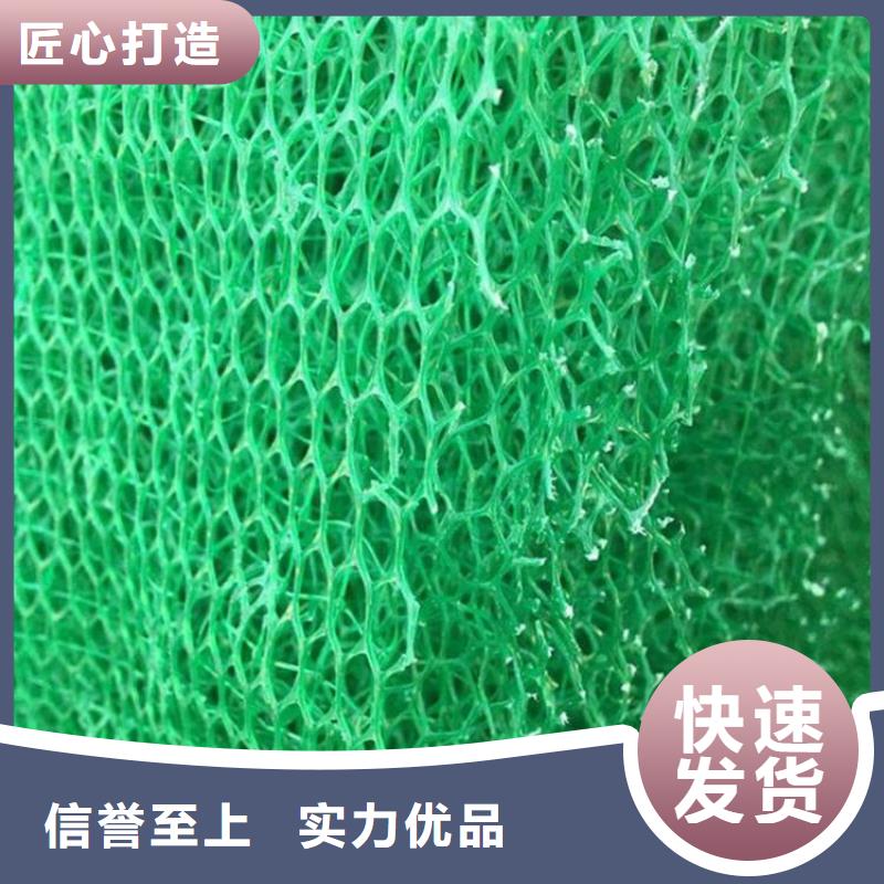 三维植被网土工布0中间商差价