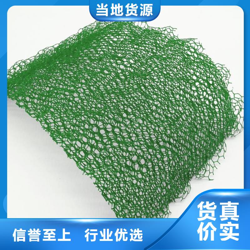 三维植被网土工布质优价廉