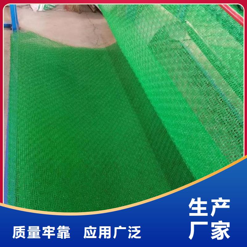 三维植被网-涤纶格栅质优价廉
