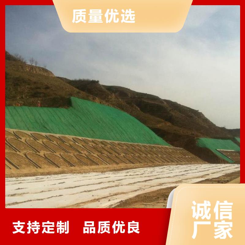 三维植被网土工布质优价廉