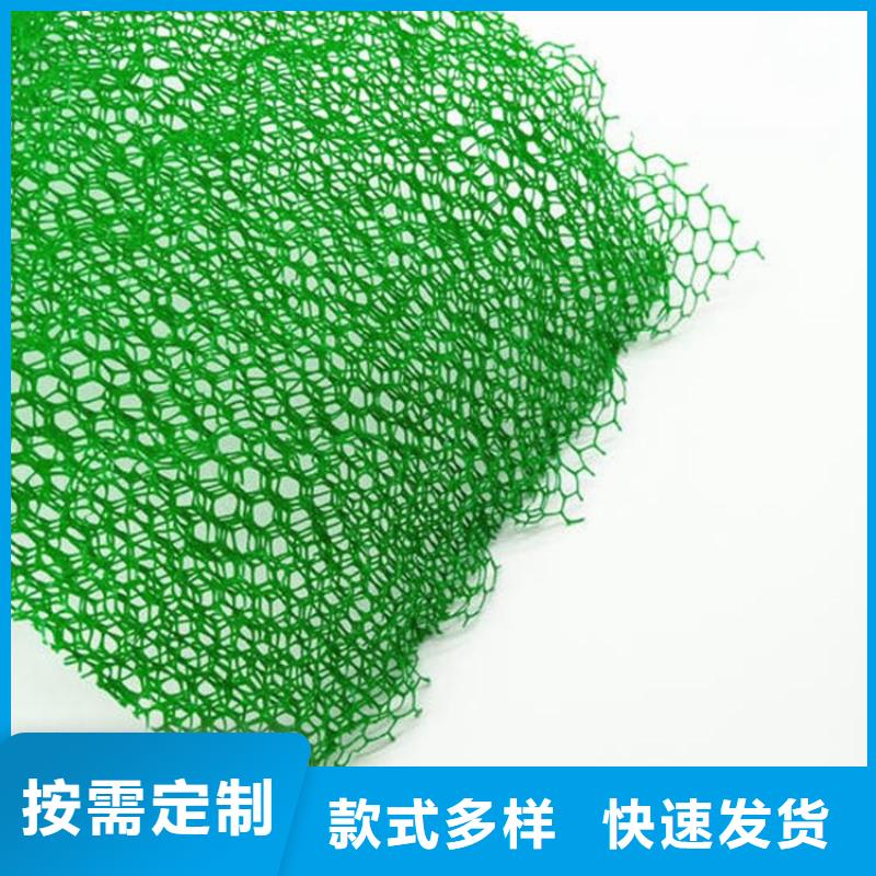 三维植被网土工布质优价廉