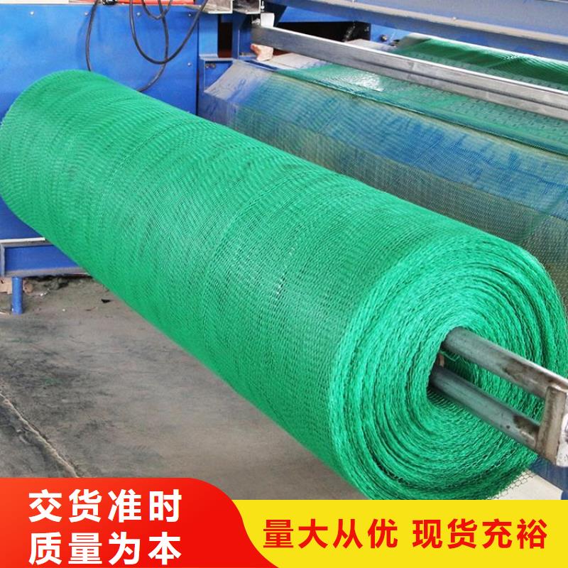 三维植被网,双向塑料格栅厂家工艺先进
