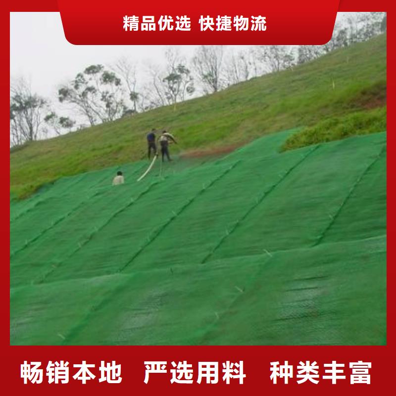 三维植被网-涤纶格栅质优价廉