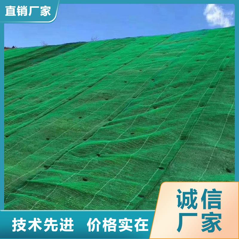 三维植被网厂家直销值得选择