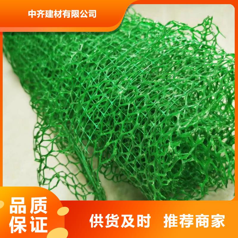 三维植被网土工布质优价廉