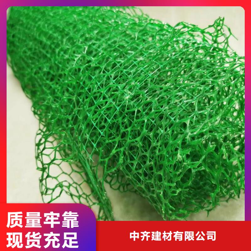 三维植被网单向塑料格栅用的放心