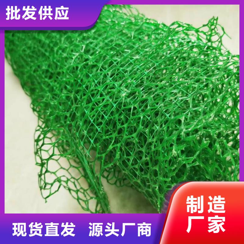 三维植被网,双向塑料格栅厂家工艺先进