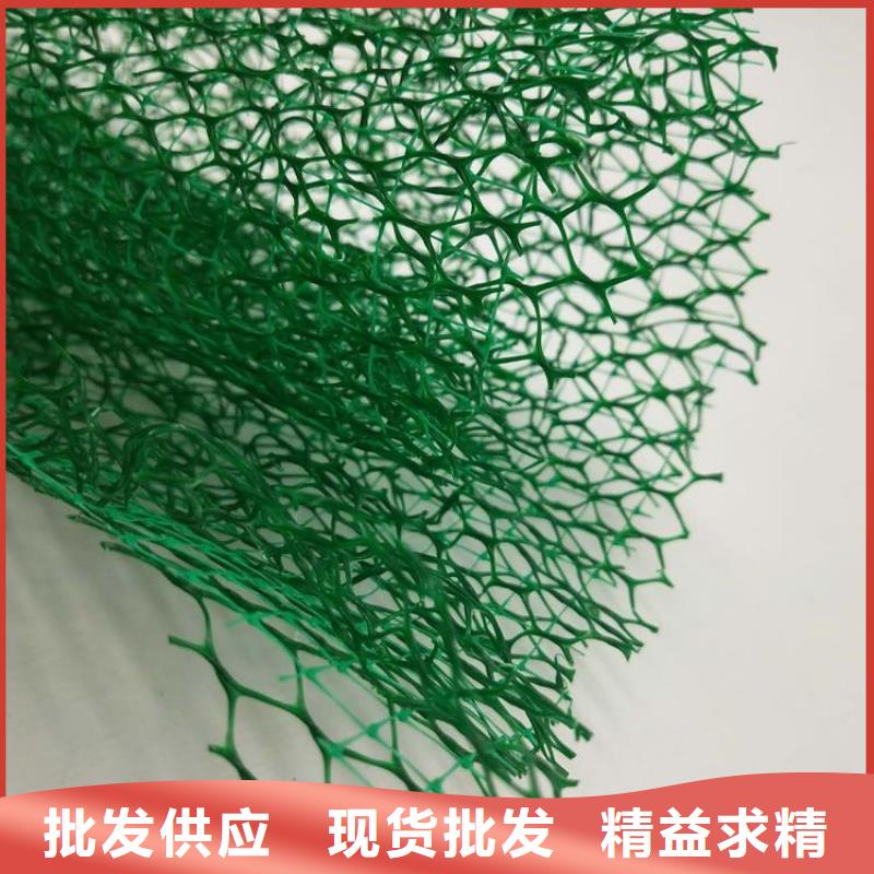三维植被网-短丝土工布可定制