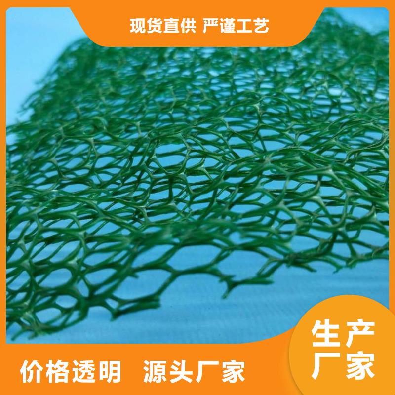 三维植被网-短丝土工布可定制
