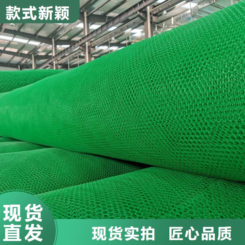 三维植被网膨润土防水垫种类多质量好