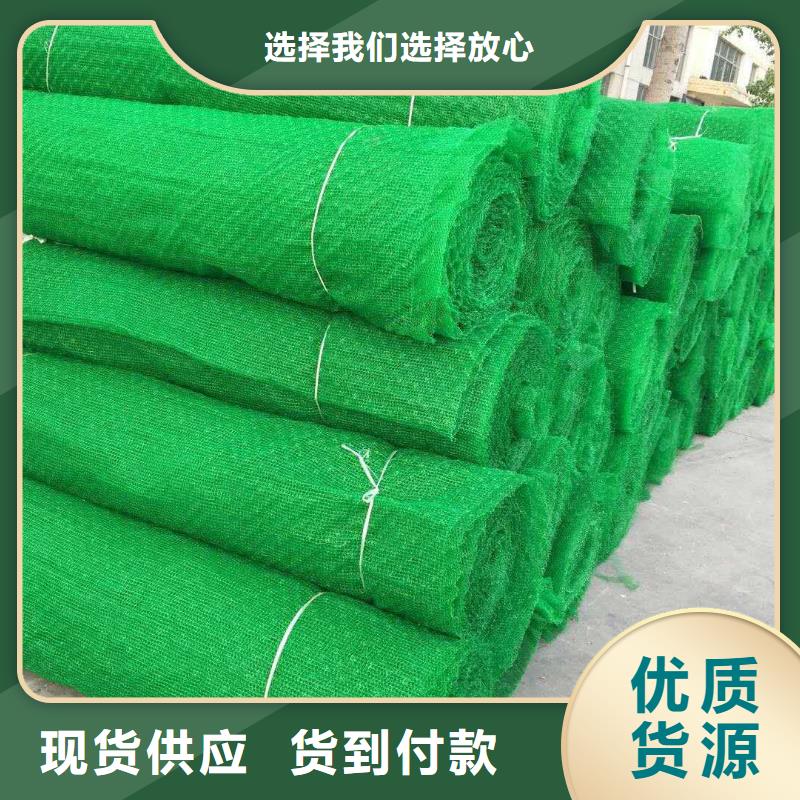 三维植被网单向塑料格栅用的放心