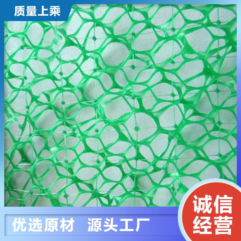 三维植被网厂家直销值得选择