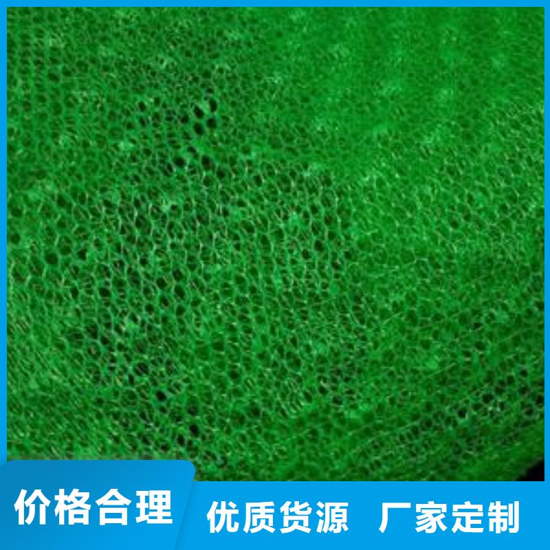 三维植被网厂家直销值得选择