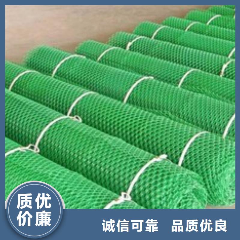 三维植被网-涤纶格栅质优价廉