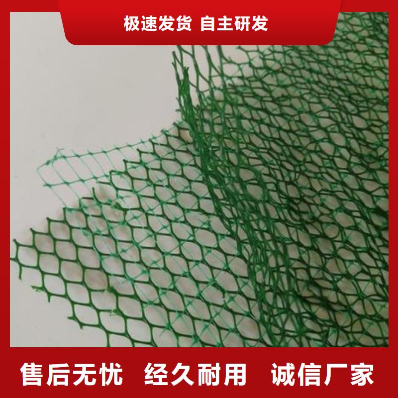 三维植被网-涤纶格栅质优价廉