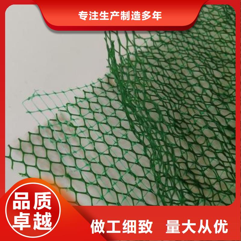 三维植被网膨润土防水垫种类多质量好