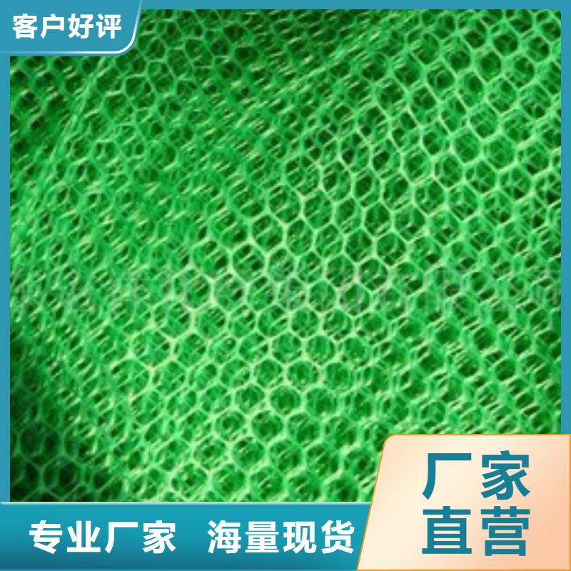 三维植被网-涤纶格栅质优价廉