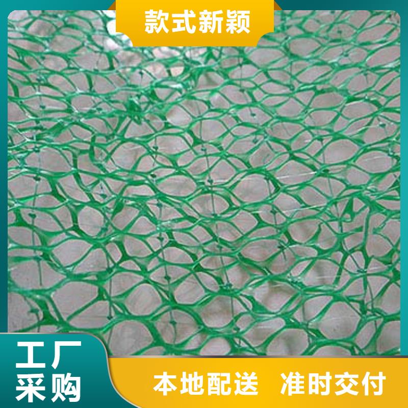 三维植被网-涤纶格栅质优价廉