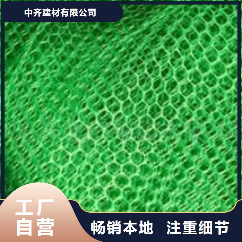 三维植被网-涤纶格栅质优价廉