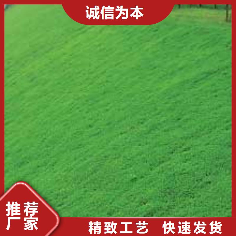 HDPE土工膜-视频-HDPE土工膜-广东省云浮市罗定|郁南|佛山|惠州|韶关|江门|湛江|汕头|深圳【本土】厂家