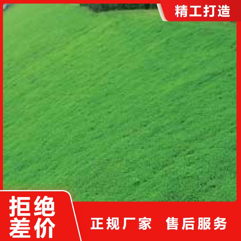 三维植被网土工布0中间商差价