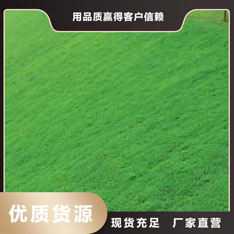 三维植被网-涤纶格栅质优价廉