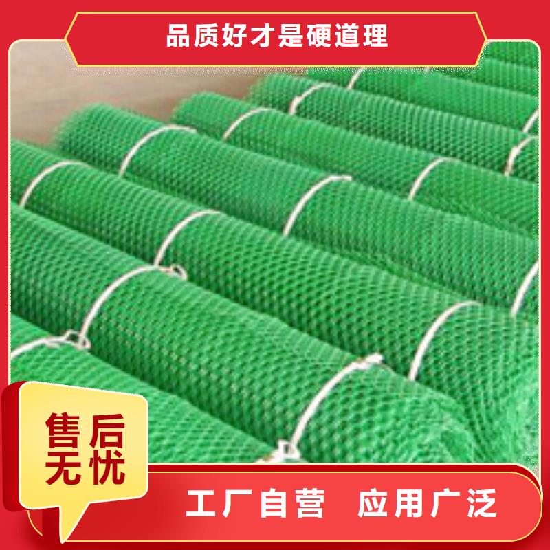 三维植被网双向塑料格栅实力优品