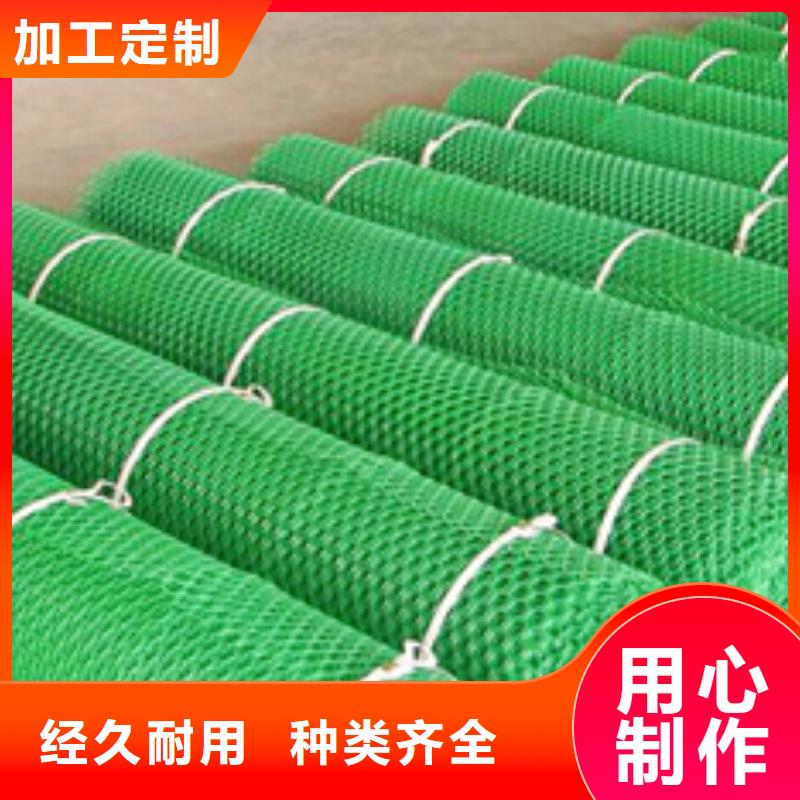 三维植被网-涤纶格栅质优价廉