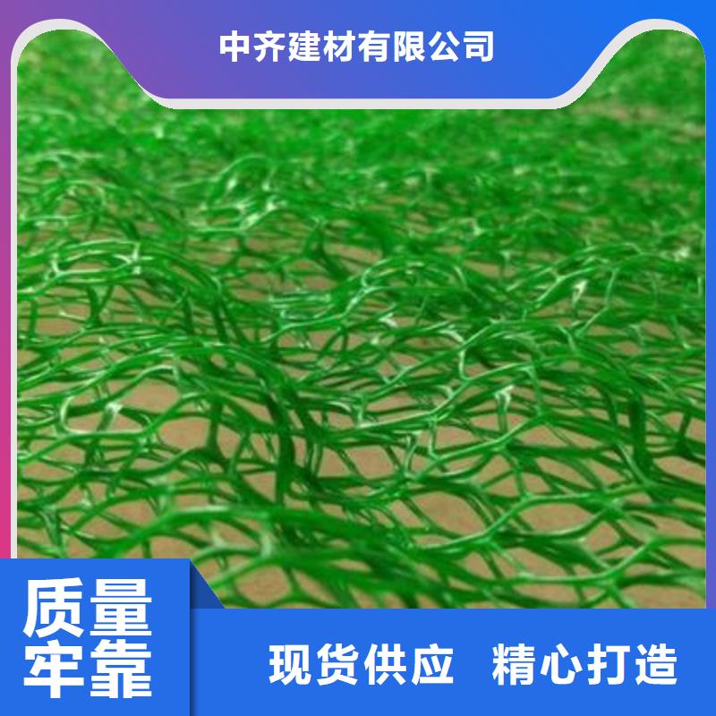 三维植被网双向塑料格栅实力优品