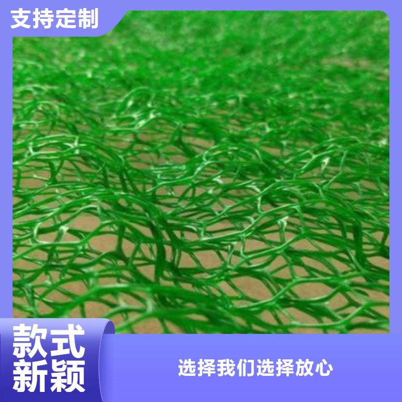 三维植被网-涤纶格栅质优价廉