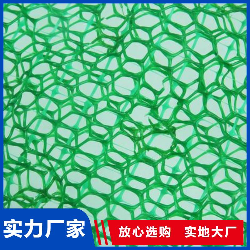 三维植被网-涤纶格栅质优价廉