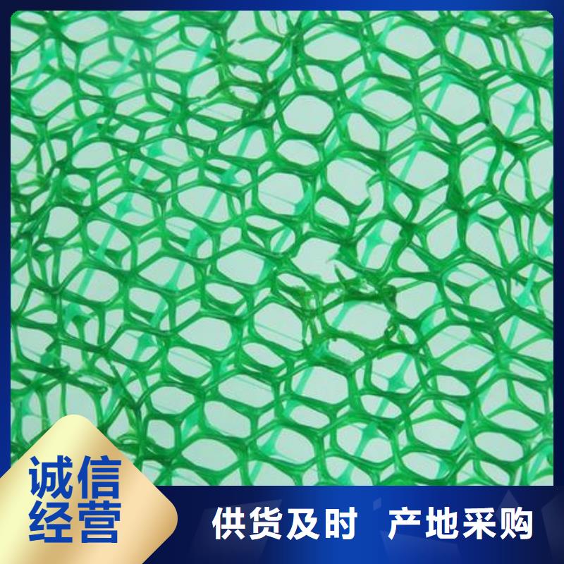 三维植被网双向塑料格栅实力优品