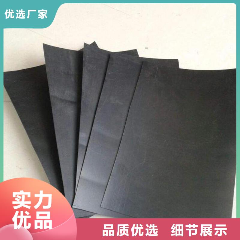 土工膜钢塑土工格栅敢与同行比服务