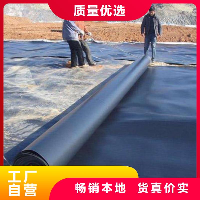 土工膜钢塑土工格栅敢与同行比服务