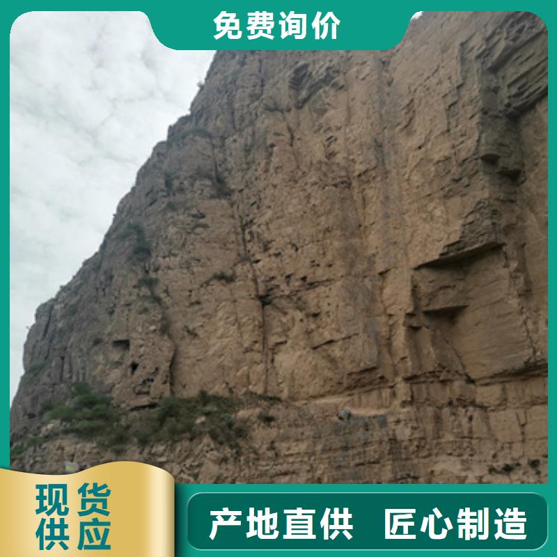 支持定制的UPS电源车出租供货商