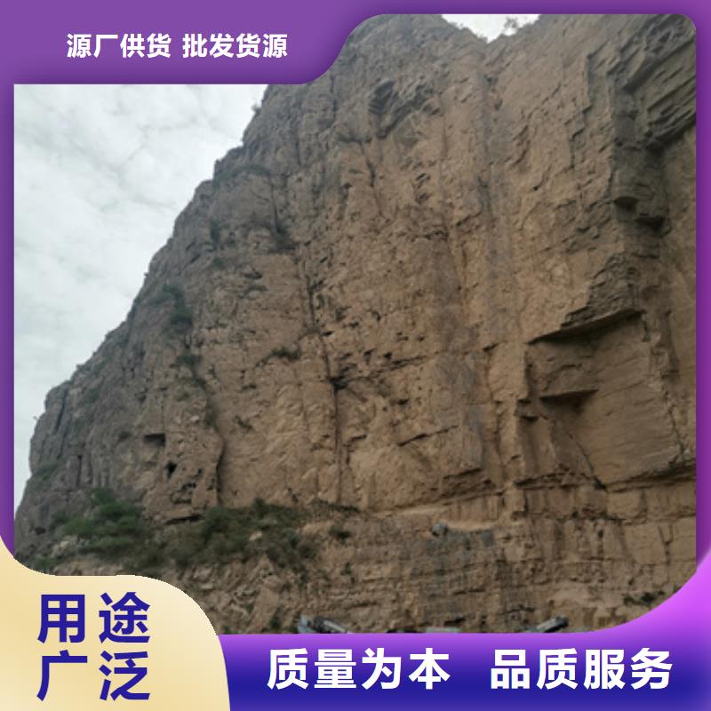 租赁发电机并机并网